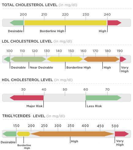 Χοληστερίνη και τριγλυκερίδια: Ποια είναι τα όρια – Υπολογισμός