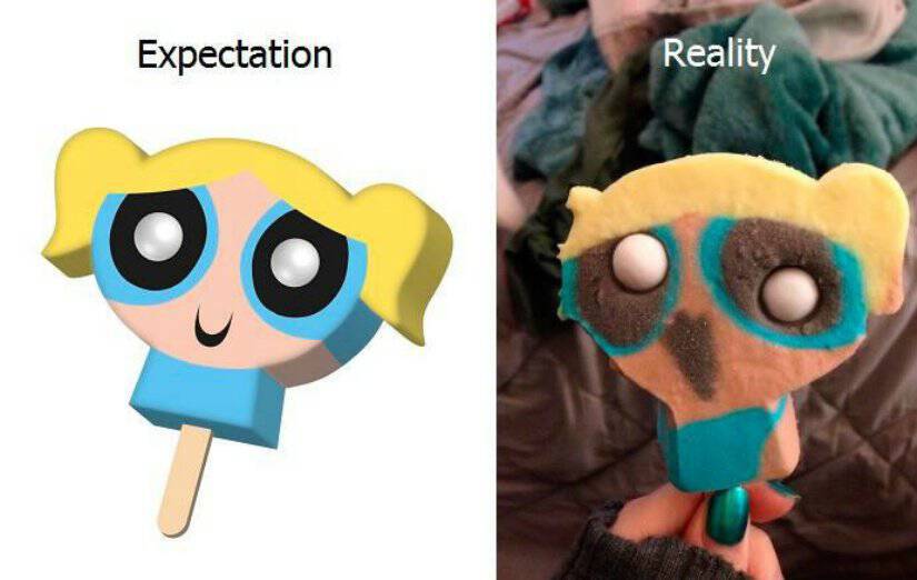 10-funny-comparisons-between-expectations-and-reality-9