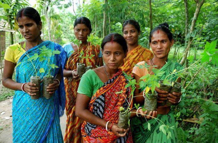 Οι κάτοικοι ενός χωριού της Ινδίας φυτεύουν 111 δέντρα κάθε φορά που γεννιέται ένα κορίτσι