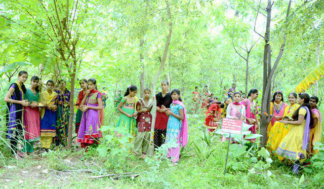 Οι κάτοικοι ενός χωριού της Ινδίας φυτεύουν 111 δέντρα κάθε φορά που γεννιέται ένα κορίτσι