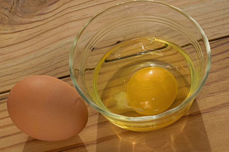 egg-avgo